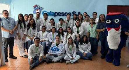 Visita